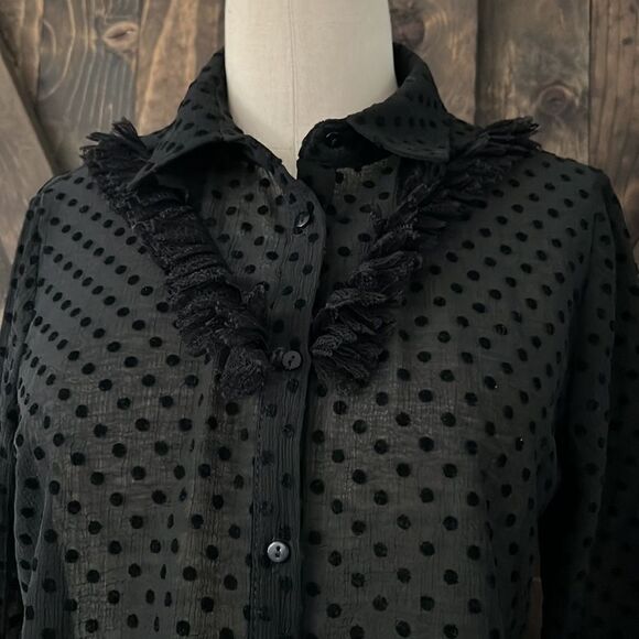 Zara Black Semi Sheer Swiss Dot Long Sleeve
Blouse Top Sz-Small - Picture 3 of 10